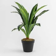 Planta Artificial Decorativa ↑40 Cm Dracaena ↑40 Cm - Sklum