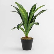 Planta Artificial Decorativa Dracaena 40 Cm 40 Cm - Sklum