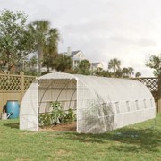 Estufa com 12 Janelas e Porta Enrolável em Aço - 8x3m