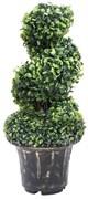 vidaXL Planta artificial buxo em espiral com vaso 59 cm verde