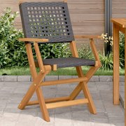 vidaXL Cadeiras de jardim 2 pcs madeira acácia maciça e vime PE preto
