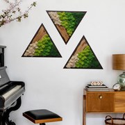 Autocolante Tríptico triangular – Ilhas de musgo e madeira quente