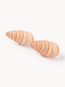 Saleiro e pimenteiro pintado à mão em dolomite Shell, conjunto de 2