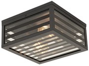 Candeeiro de teto exterior moderno preto em vidro 2 luzes IP44 - Reims Moderno