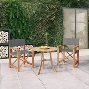vidaXL Cadeiras de realizador 2 pcs madeira de teca maciça cinzento