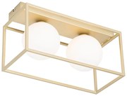 Candeeiro de teto design dourado com vidro branco 2 luzes - Aniek