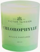 Vela perfumada artesanal Chlorophylle (tulipas, vetiver, fresia)