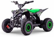 Moto 4 elétrica para crianças 1300W Motors T-REX Verde