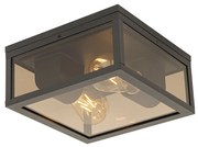 Candeeiro de teto preto com vidro fumê 2 luzes IP44 - Charlois Moderno