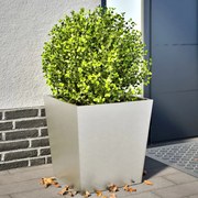 vidaXL Vaso/floreira de jardim 2 pcs 50x50x50 cm aço inoxidável