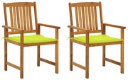 vidaXL Cadeiras de jardim com almofadões 2 pcs acácia maciça