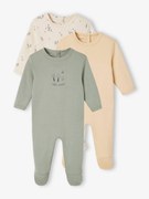 Lote de 3 pijamas Basics verde
