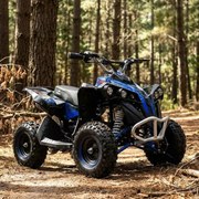 MINI MOTO 4 INFANTIL ELECTRICA 1000W MTR MALCOR PIRANHA AZUL