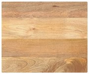 vidaXL Tampo de mesa retangular 60x50x2,5 cm mangueira maciça