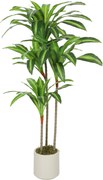 HOMCOM Planta Artificial de Dracena Verde em PEVA e Madeira com Vaso em PP e Cimento, 60x40x120 cm | Aosom Portugal