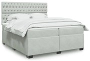 vidaXL Cama com molas/colchão 200x200 cm veludo cinzento-claro