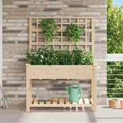 vidaXL Vaso de Jardim Bege 115 x 60.5 x 153 cm Madeira maciça de abeto