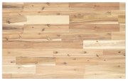 vidaXL Tampo p/ móvel casa de banho 100x50x2 acácia maciça não tratada