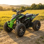 Mini moto 4 gasolina para crianças 250cc Typhoon R10 Verde