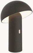 Candeeiro de mesa LED portátil Todd