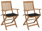 vidaXL Cadeiras de jardim dobráveis c/ almofadões 2 pcs acácia maciça
