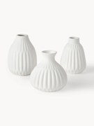 Jarras de porcelana pequenas Palo, conjunto de 3