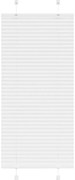 vidaXL Branco Plissada Cega 60x150 cm Largura Tecido 59,4 cm Poliéster