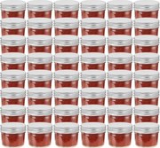vidaXL Frascos de vidro com tampas prateadas 48 pcs 110 ml