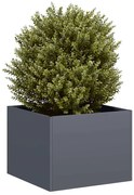vidaXL Vaso/floreira 40x40x30 cm aço antracite
