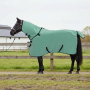 vidaXL Cobertor de Cavalo Verde especial Poliéster