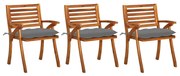 vidaXL Cadeiras de jantar jardim c/ almofadões 3 pcs acácia maciça