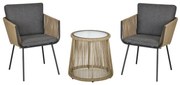 Conjunto de Móveis de Vime Conjunto de Móveis para Jardim 3 Peças Mesa