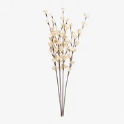 Pack De 4 Ramos Secos Decorativos Iliyan Cores Naturais - Sklum