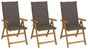 vidaXL Cadeiras de jardim dobráveis c/ almofadões 3 pcs acácia maciça