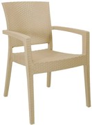 Conjunto de 4 Cadeiras de Jardim Empilháveis LIDO – Polipropileno – Co