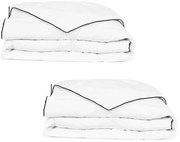 vidaXL Edredão de inverno penugem 2 pcs 135x200 cm