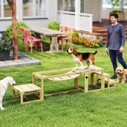 Equipamentos de treino de agilidade para cães - Conjunto de 3 peças de equipamento de agilidade para cães em madeira maciça natural