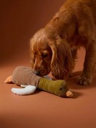 Brinquedo multi texturas pato, para cão avelã