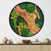 Autocolante Círculo de musgo - Harmonia da natureza