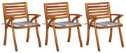 vidaXL Cadeiras de jantar jardim c/ almofadões 3 pcs madeira acácia