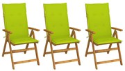 vidaXL Cadeiras de jardim dobráveis c/ almofadões 3 pcs acácia maciça