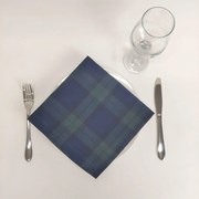 Guardanapo Algodão Quadrados Azuis-Verde