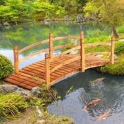 Ponte de Madeira com Corrimão Ponte de Jardim para Decoração para Pátio Carga Máxima 200 kg 185x72x58 cm Madeira