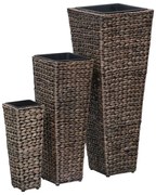 vidaXL Vasos/floreiras 3 pcs jacinto de água castanho-escuro