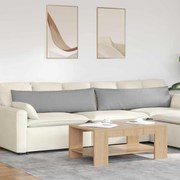 vidaXL Travesseiros de Sofá 2 pcs Cinza Nuvem 145 x 40 cm tecido