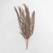 Pack De 6 Ramos Secos Decorativos Nereida Castanho Trigo - Sklum