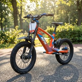 Bicicleta elétrica infantil 500W Roan RXF Evo Racing 18" Laranja