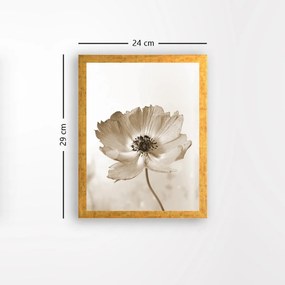 Pintura Decorativa em MDF com Moldura AC1680333027 – Multicolor – 24 x