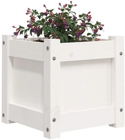 Vasos/floreiras de jardim 2 pcs madeira de pinho maciça branco