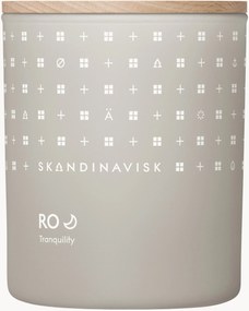 Vela perfumada Ro (relva cortada, folhas caídas, pepino, violetas selvagens)